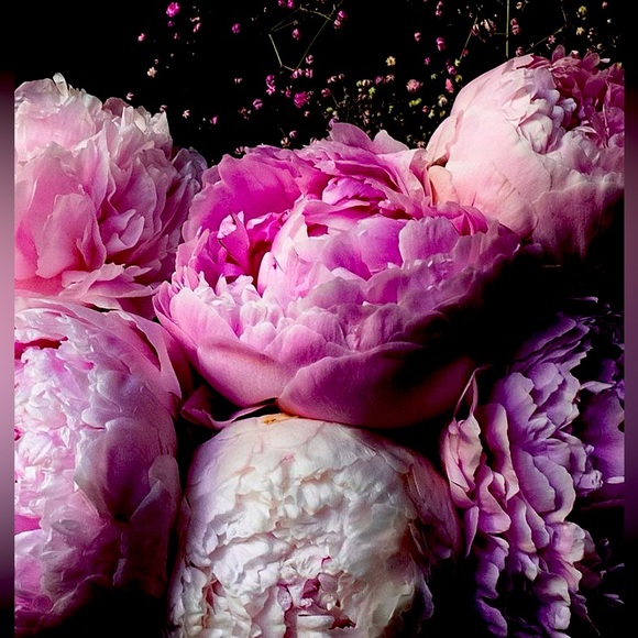 WELCOME! Make me an offer!! - Picture 1 of 1